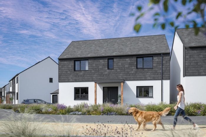 The Watergate Plot 23 Detached